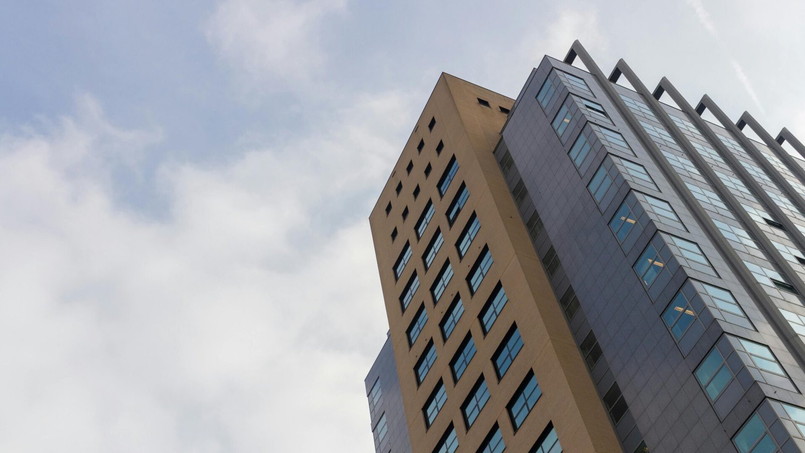 pexels-yldau-reitsma-326534-1007801