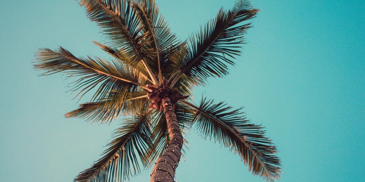 pexels-maxandrey-1068989